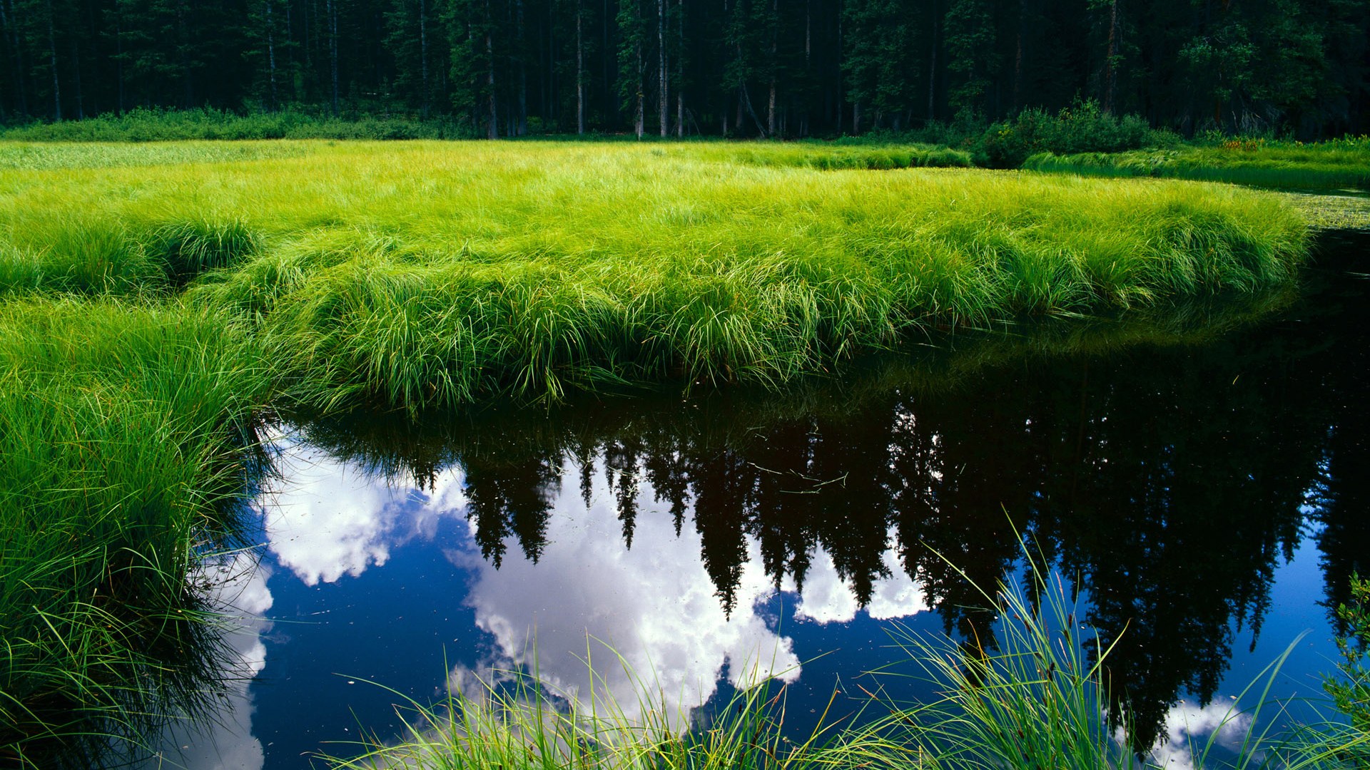 开云体育平台安全吗-切尔西主场对阵阿森纳，谁能笑到最后？，切尔西vs阿森纳阵容