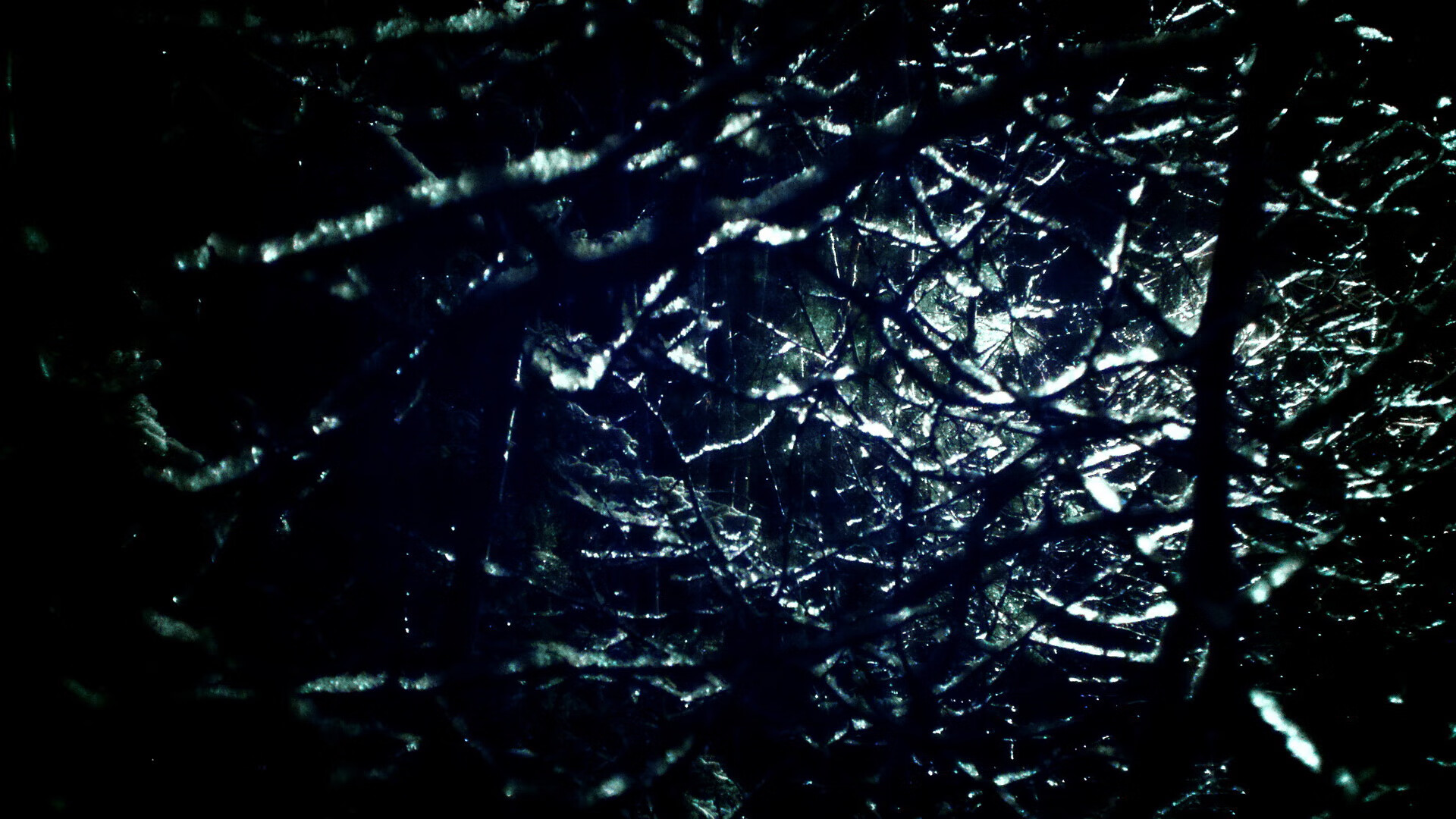 开云体育博彩-国足集训是否应引入封闭式高强度周期,国足集训安排