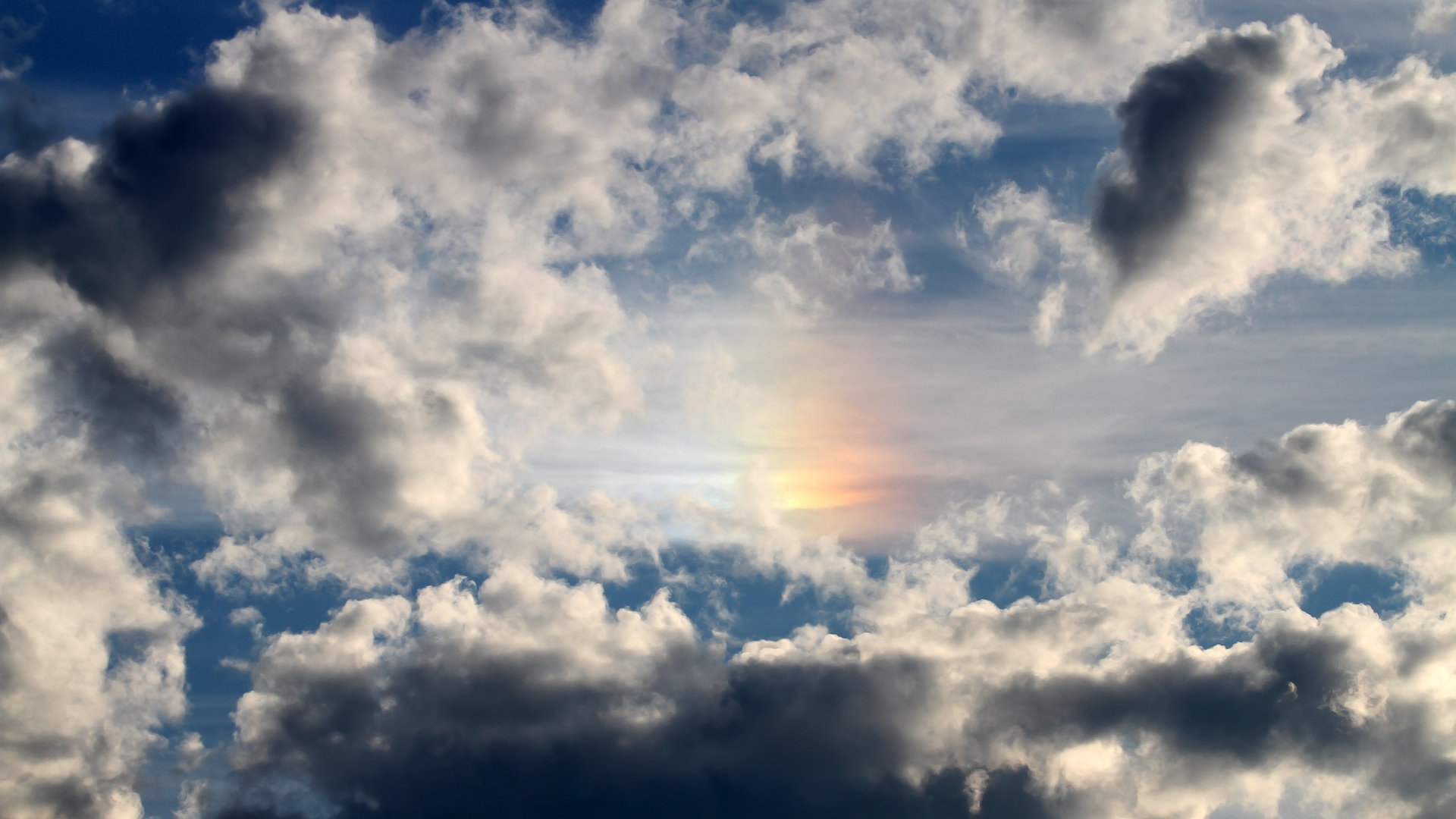 开云在线-沃特福德中场组织出色，黄蜂军团冲刺保级，沃特福德2021阵容