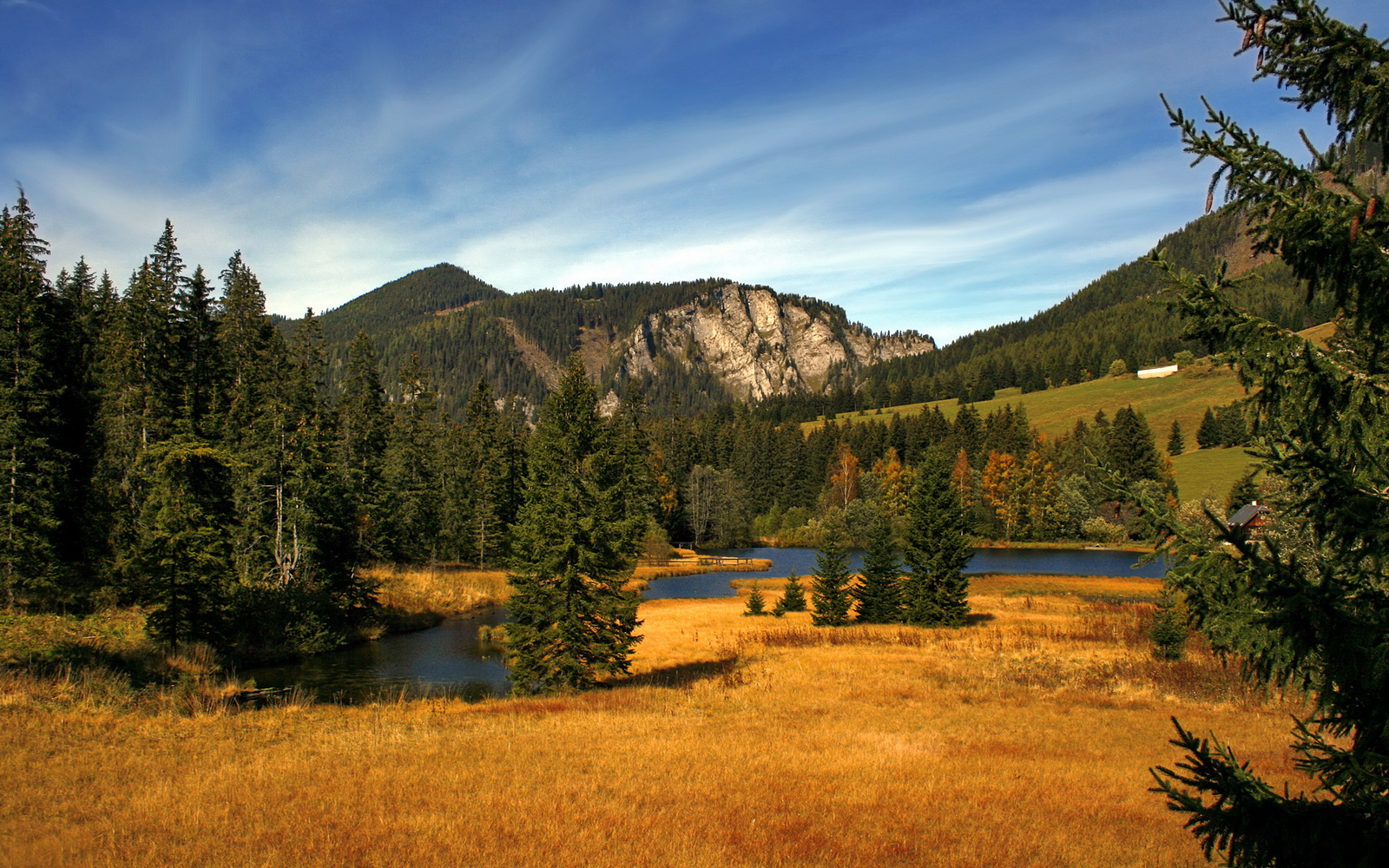 kaiyun sports app-湖人击败掘金,西部决赛中詹姆斯双手暴扣点燃全场,湖人詹姆斯比赛视频