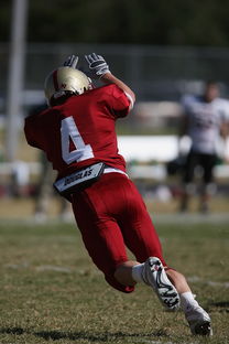 kaiyun sports app-NBA球队球员合同谈判分析,nba球队球员合同谈判分析图