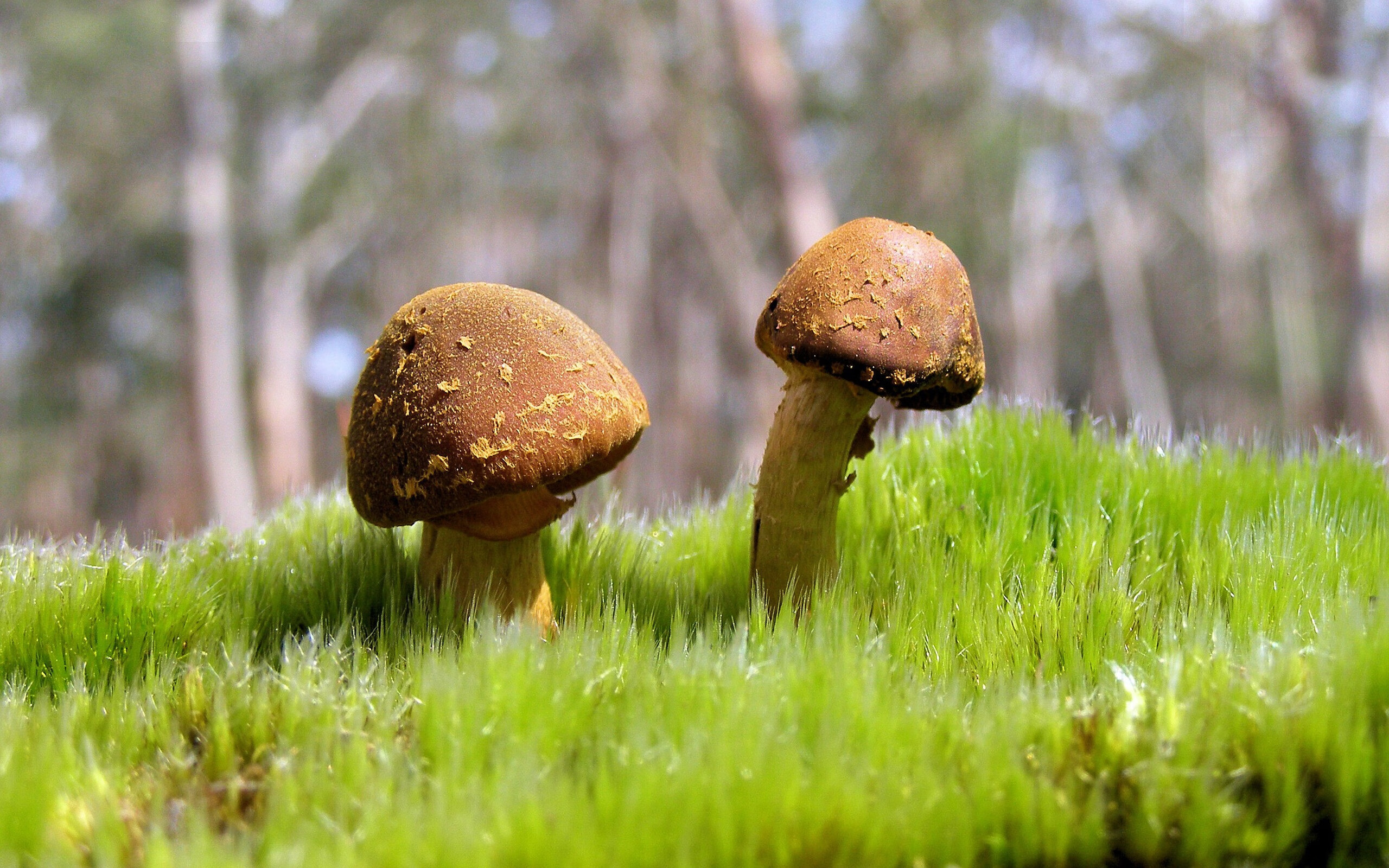 kaiyun app download-法甲巅峰对决：巴黎圣日耳曼对阵里昂，争夺排名第一，巴黎圣日耳曼对里昂集锦