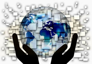 开云体育平台APP-英超赛季中期球员心理疲劳状态监测方法研究,英超伤病报告_球员受伤成本逐年攀升