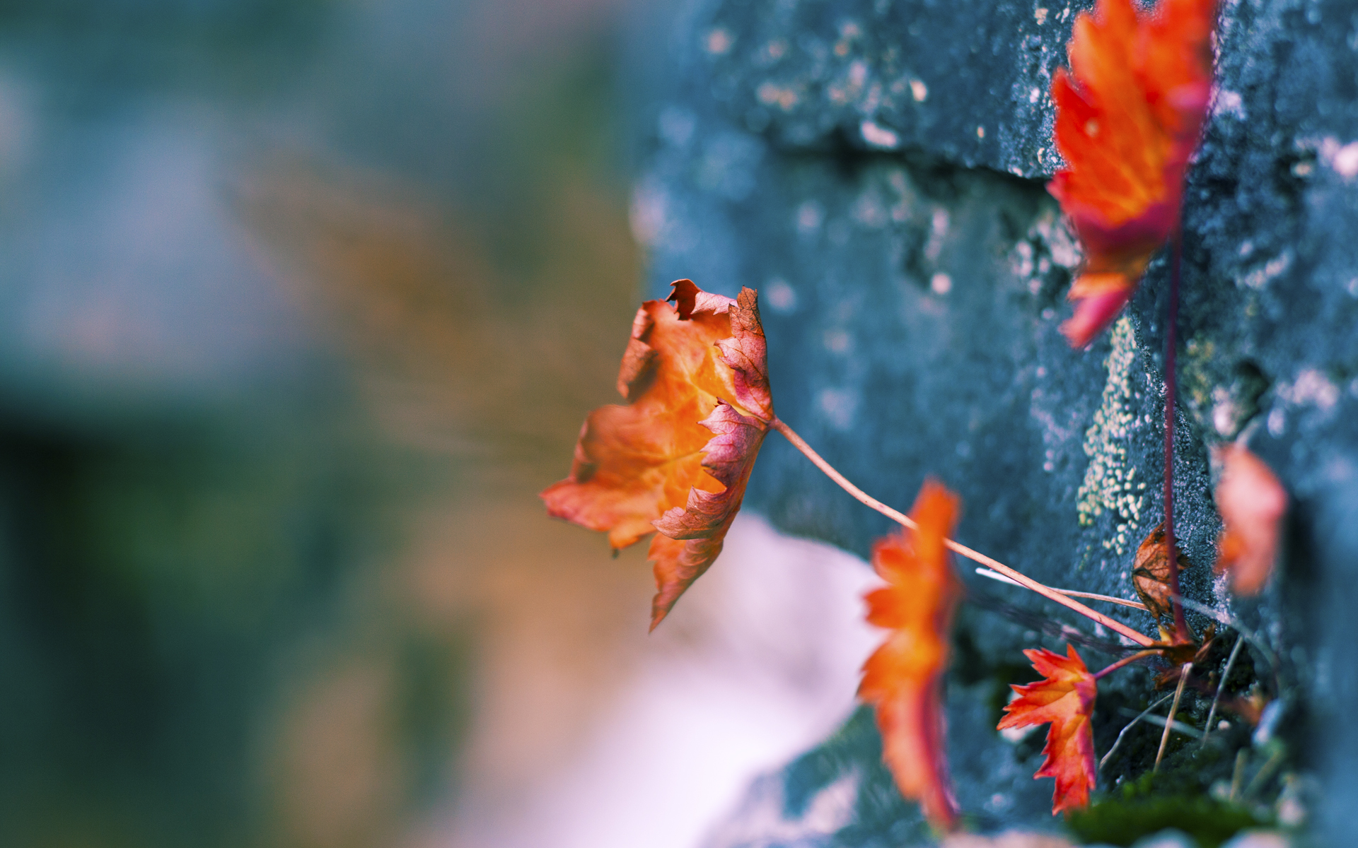 开云体育保障-中小学体育设施改善明显,中小学体育设施向公众开放