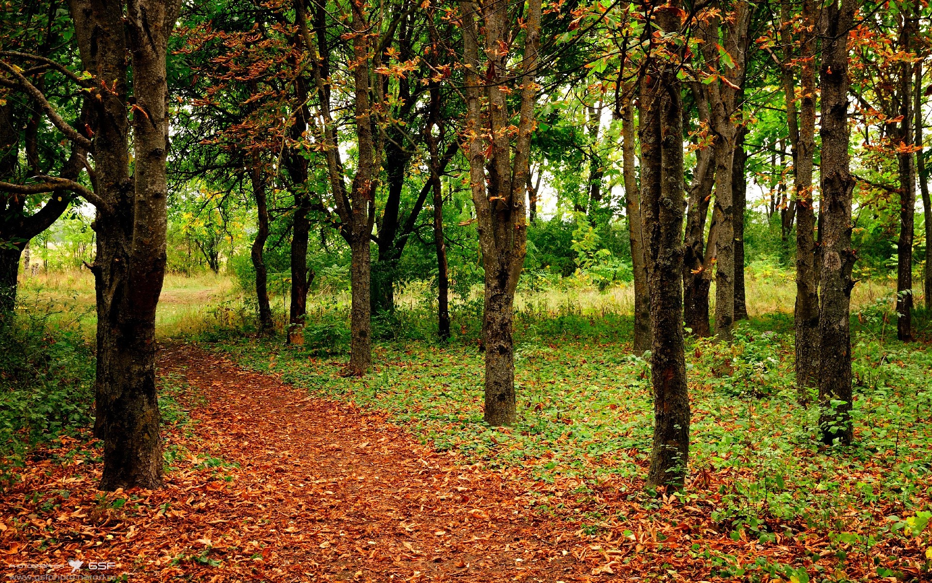 开云体育下载网址-新一代英格兰男队备受关注，2021英格兰队帅哥