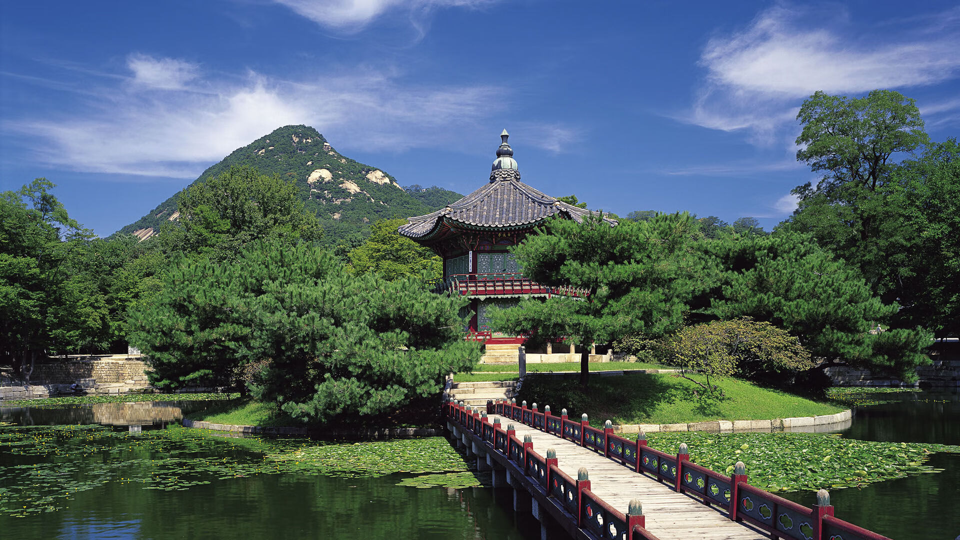 开云体育保障-职业联赛推广健康饮食管理辅助体能恢复